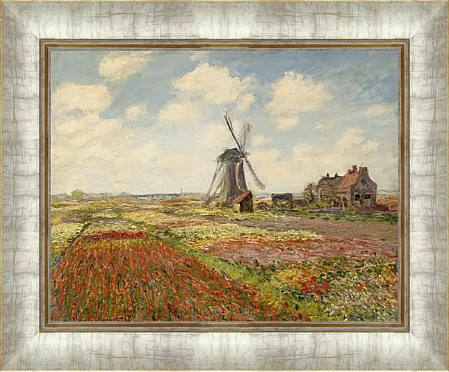 Картина в раме - Fields of Tulip With The Rijnsburg Windmill. Клод Моне