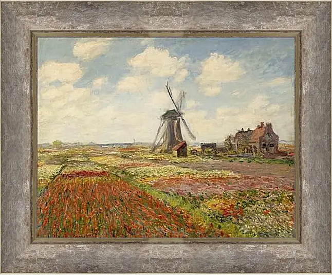 Картина в раме - Fields of Tulip With The Rijnsburg Windmill. Клод Моне