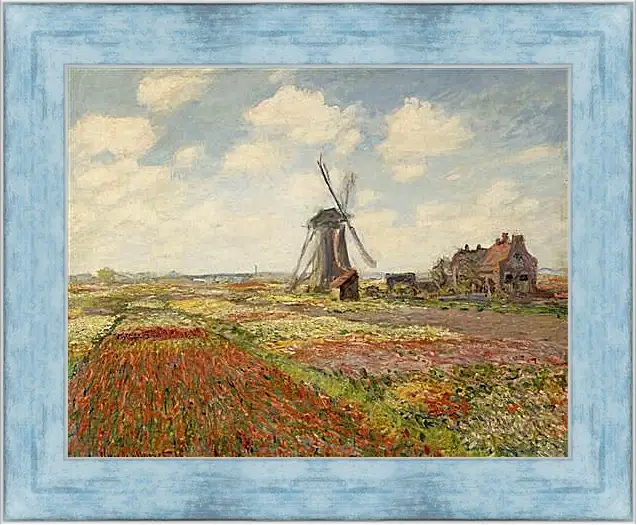 Картина в раме - Fields of Tulip With The Rijnsburg Windmill. Клод Моне