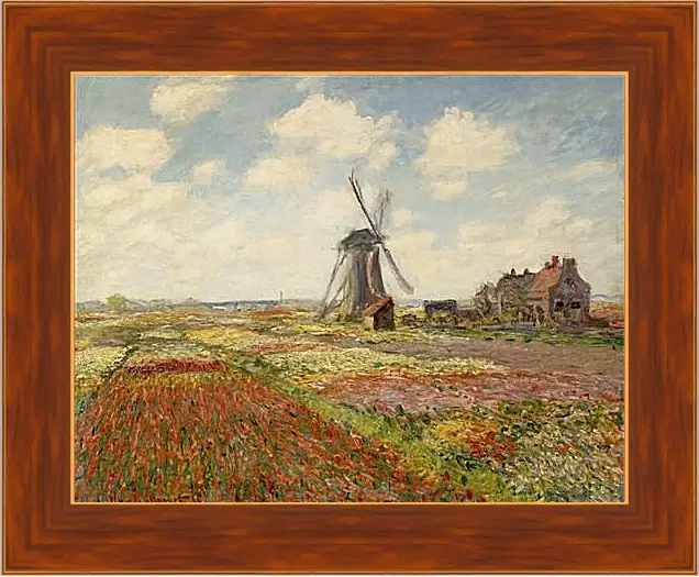 Картина в раме - Fields of Tulip With The Rijnsburg Windmill. Клод Моне