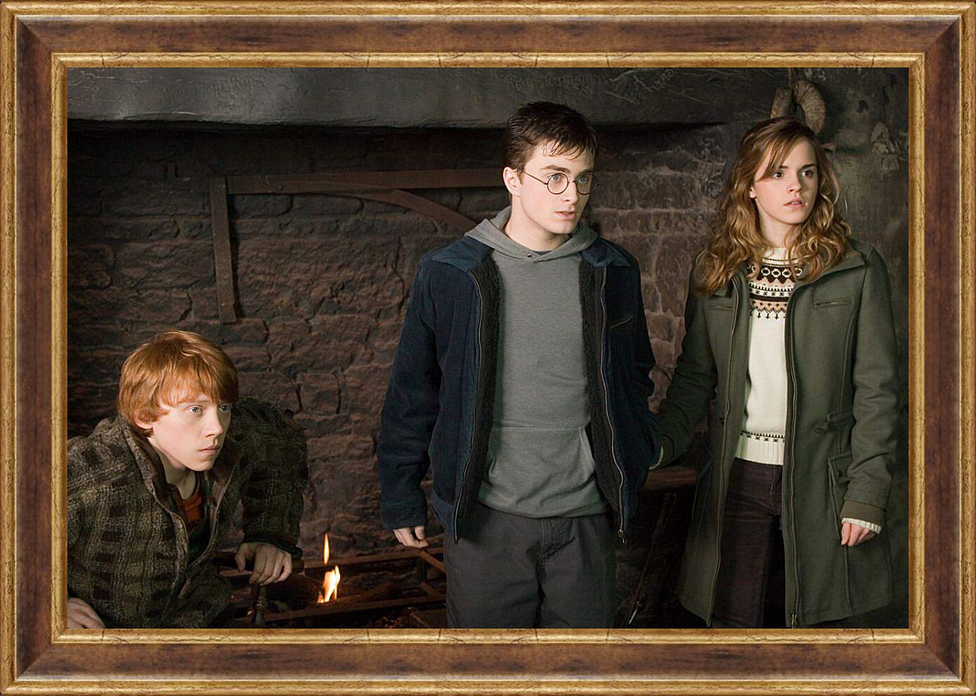 Картина в раме - Гарри Поттер и Орден Феникса