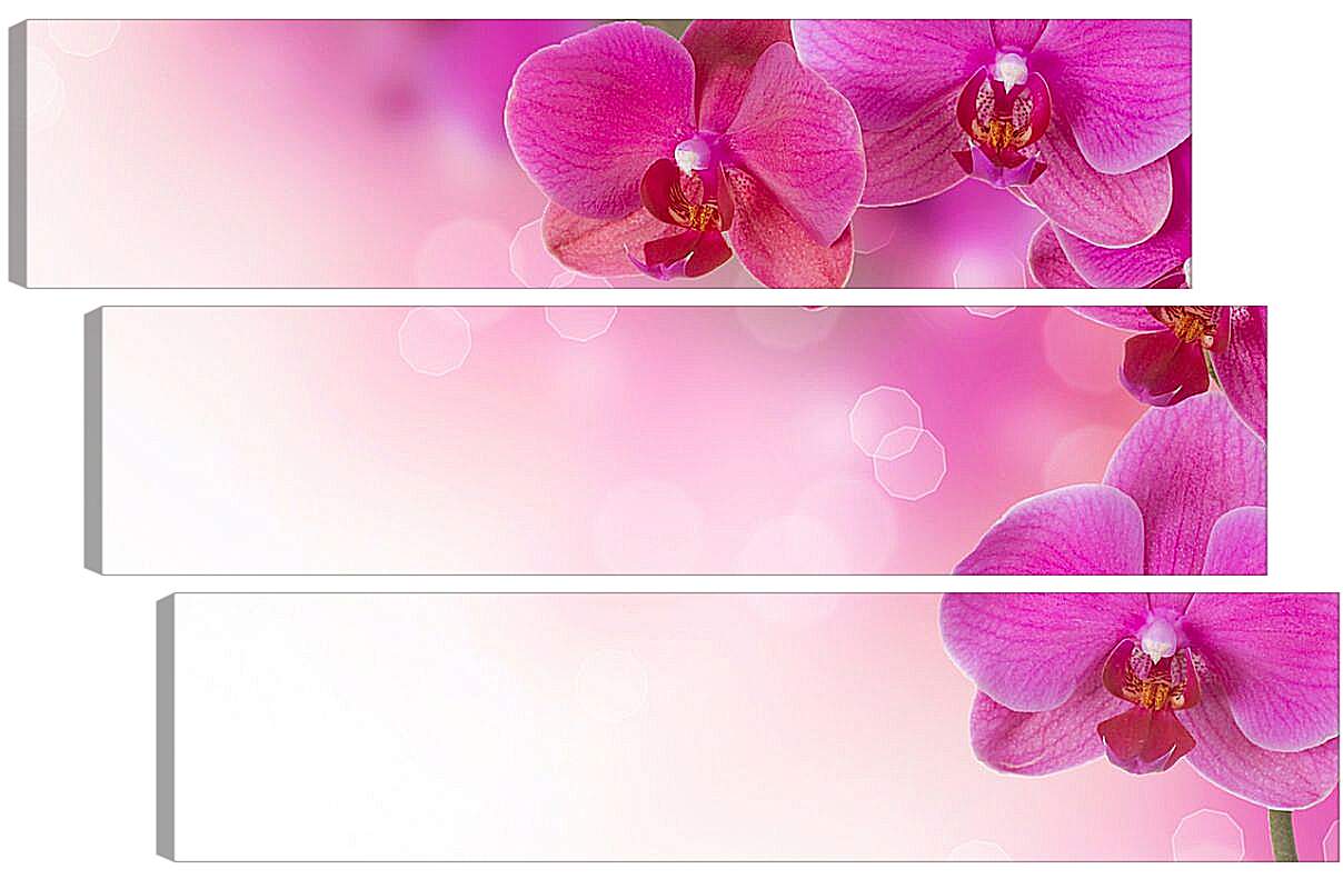 Модульная картина - Розовые орхидеи