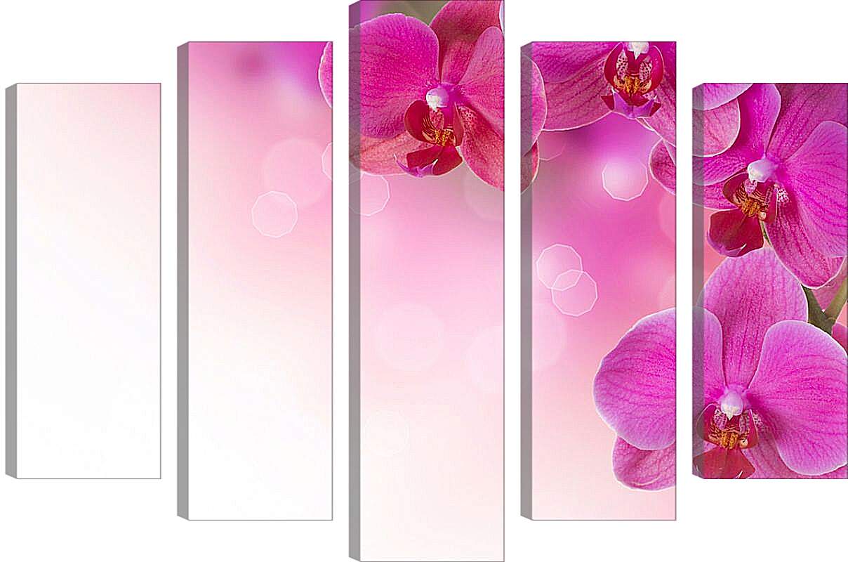 Модульная картина - Розовые орхидеи