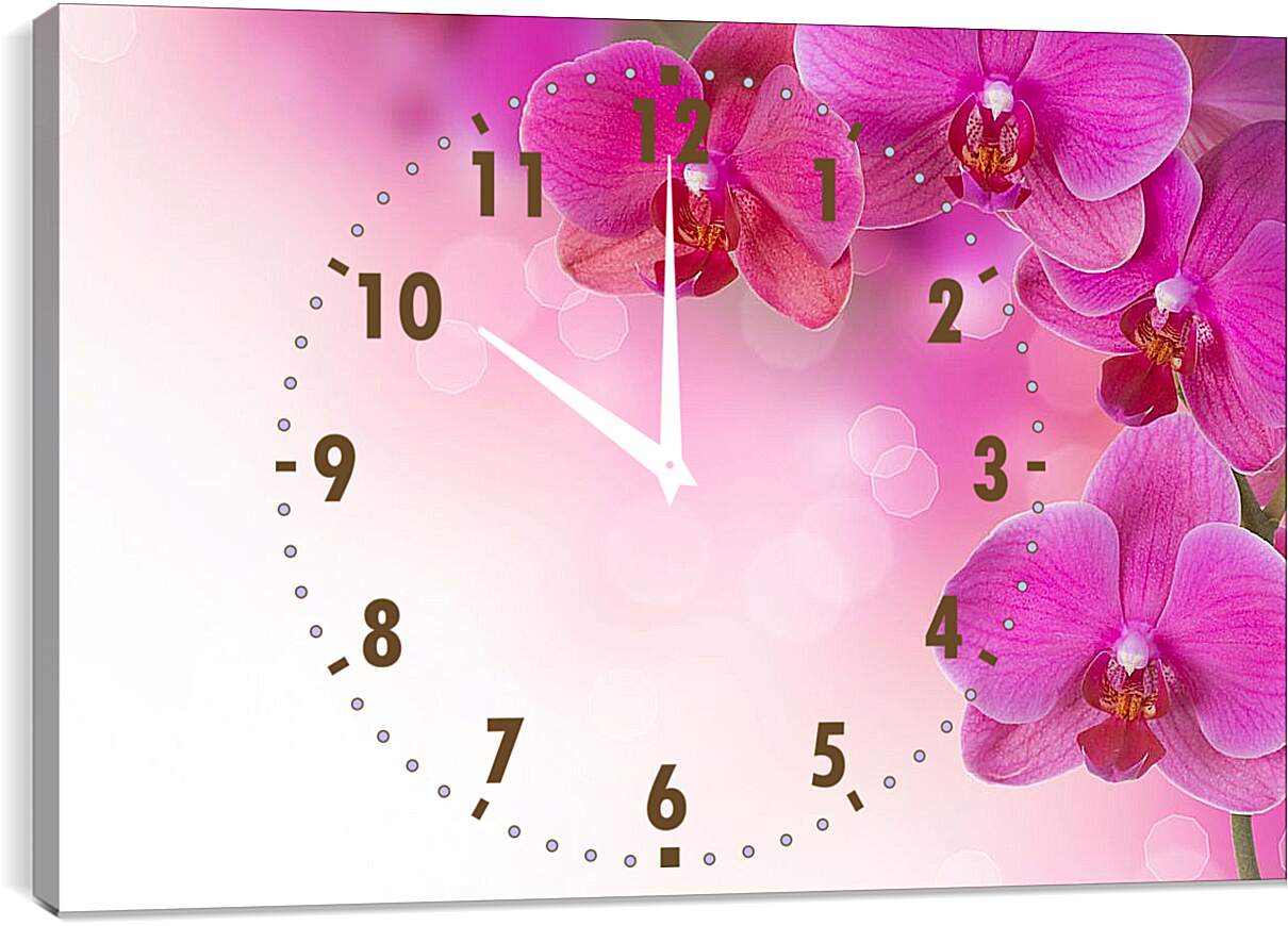 Часы картина - Розовые орхидеи