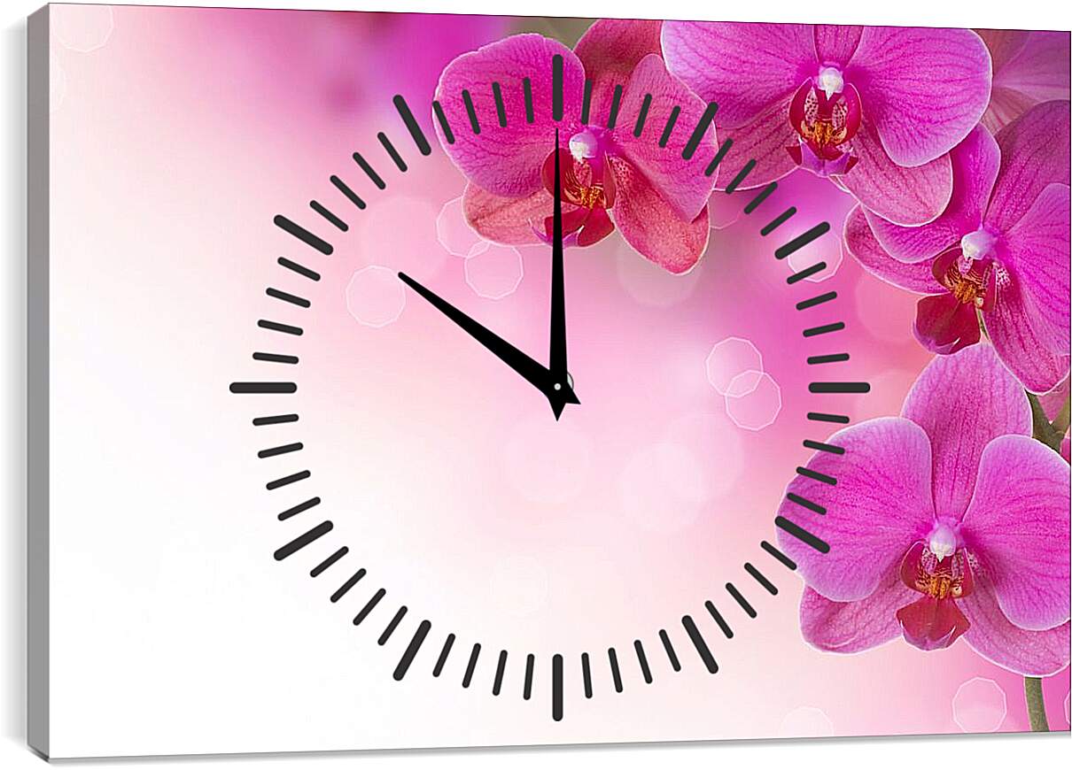 Часы картина - Розовые орхидеи