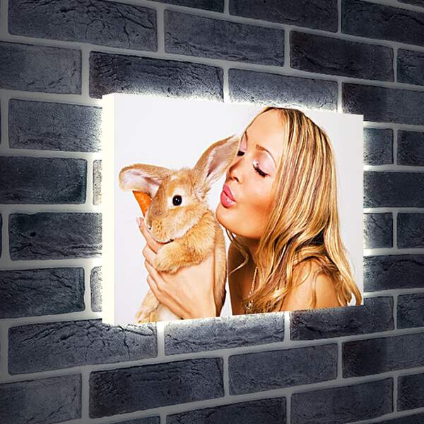 Лайтбокс световая панель - Девушка и кролик