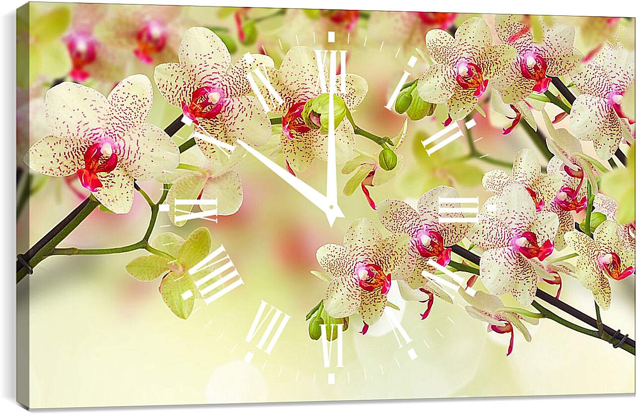 Часы картина - Тигровые орхидеи