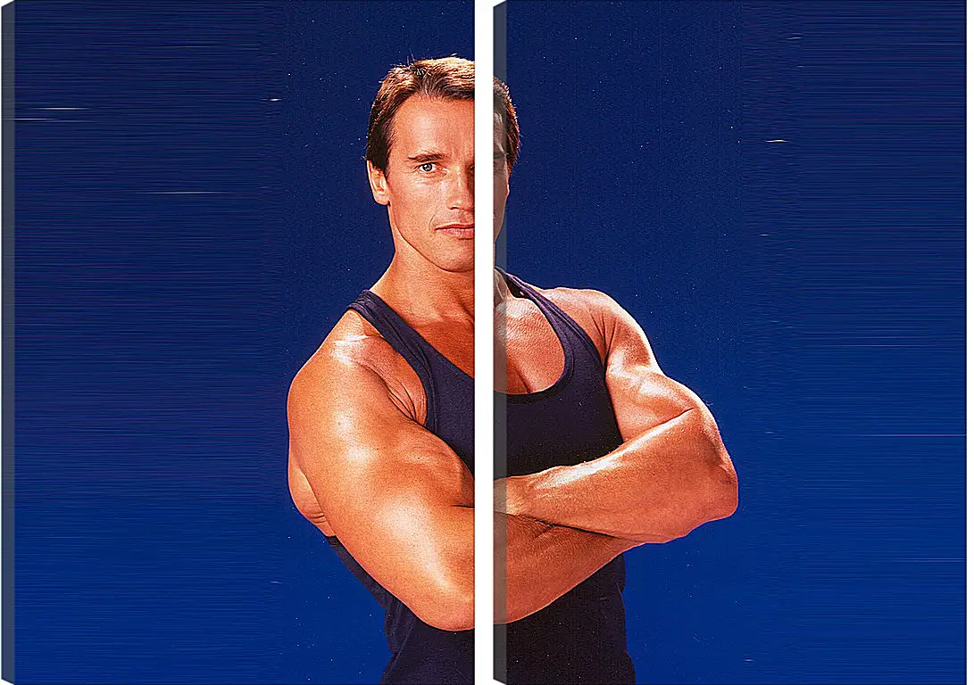 Модульная картина - Арнольд Шварценеггер (Arnold Schwarzenegger)
