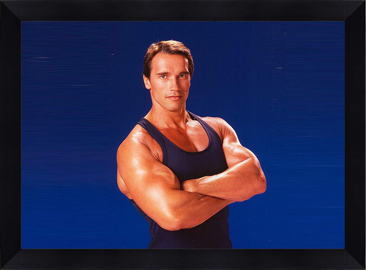 Картина в раме - Арнольд Шварценеггер (Arnold Schwarzenegger)