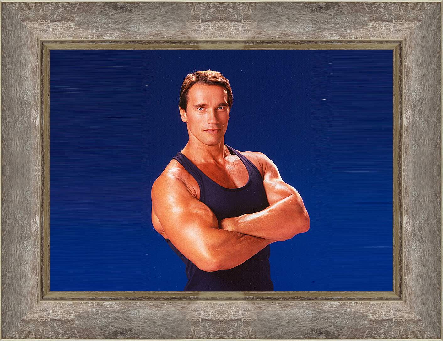 Картина в раме - Арнольд Шварценеггер (Arnold Schwarzenegger)