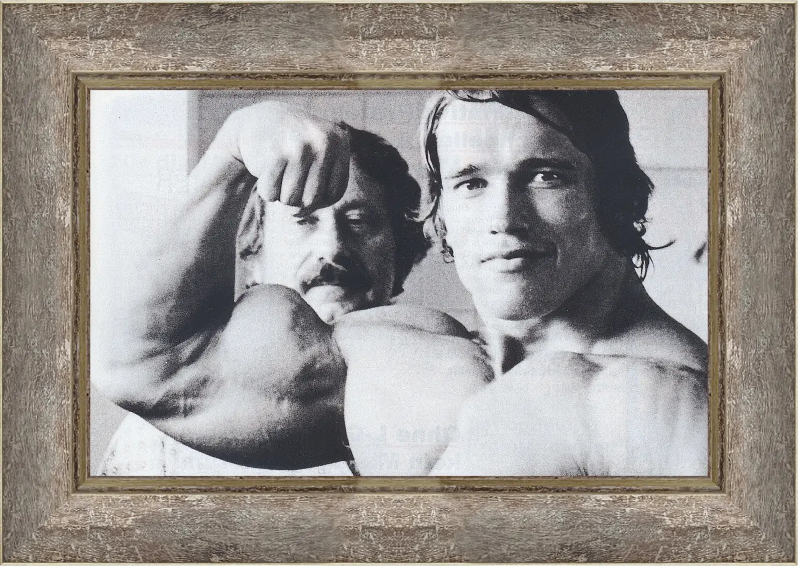 Картина в раме - Арнольд Шварценеггер (Arnold Schwarzenegger)