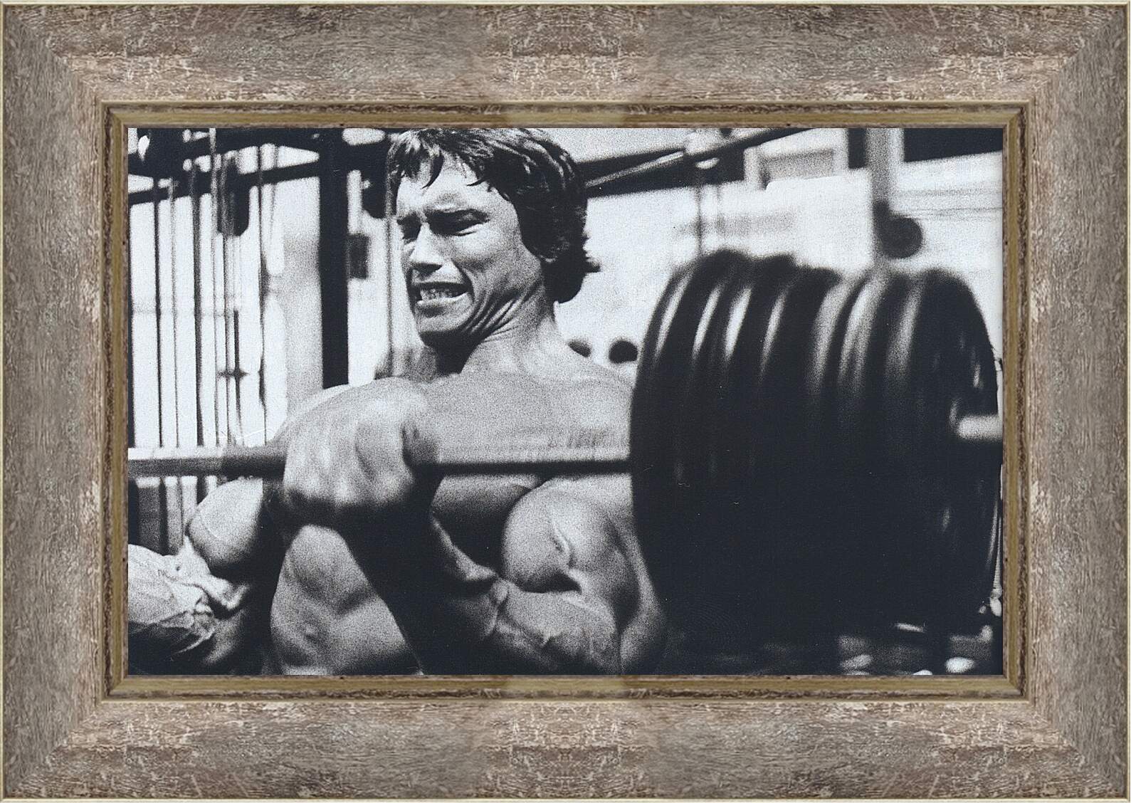 Картина в раме - Арнольд Шварценеггер (Arnold Schwarzenegger)