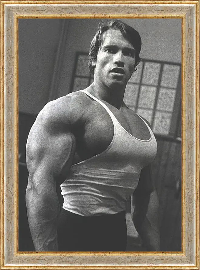 Картина в раме - Арнольд Шварценеггер (Arnold Schwarzenegger)