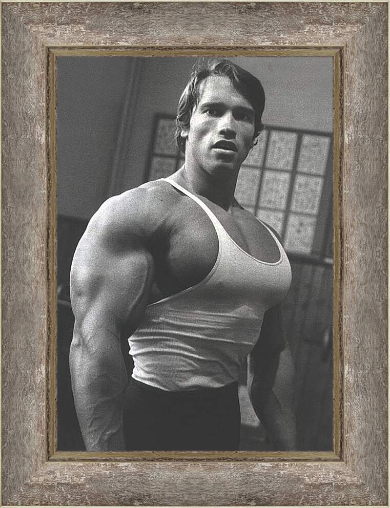 Картина в раме - Арнольд Шварценеггер (Arnold Schwarzenegger)