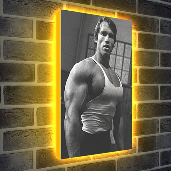Лайтбокс световая панель - Арнольд Шварценеггер (Arnold Schwarzenegger)