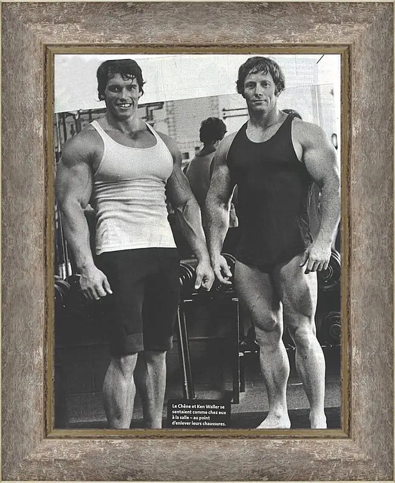 Картина в раме - Арнольд Шварценеггер (Arnold Schwarzenegger)
