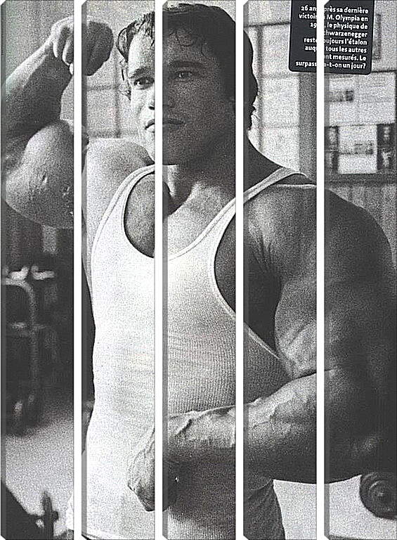 Модульная картина - Арнольд Шварценеггер (Arnold Schwarzenegger)