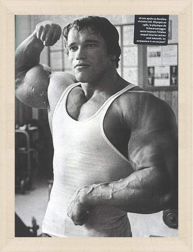 Картина в раме - Арнольд Шварценеггер (Arnold Schwarzenegger)