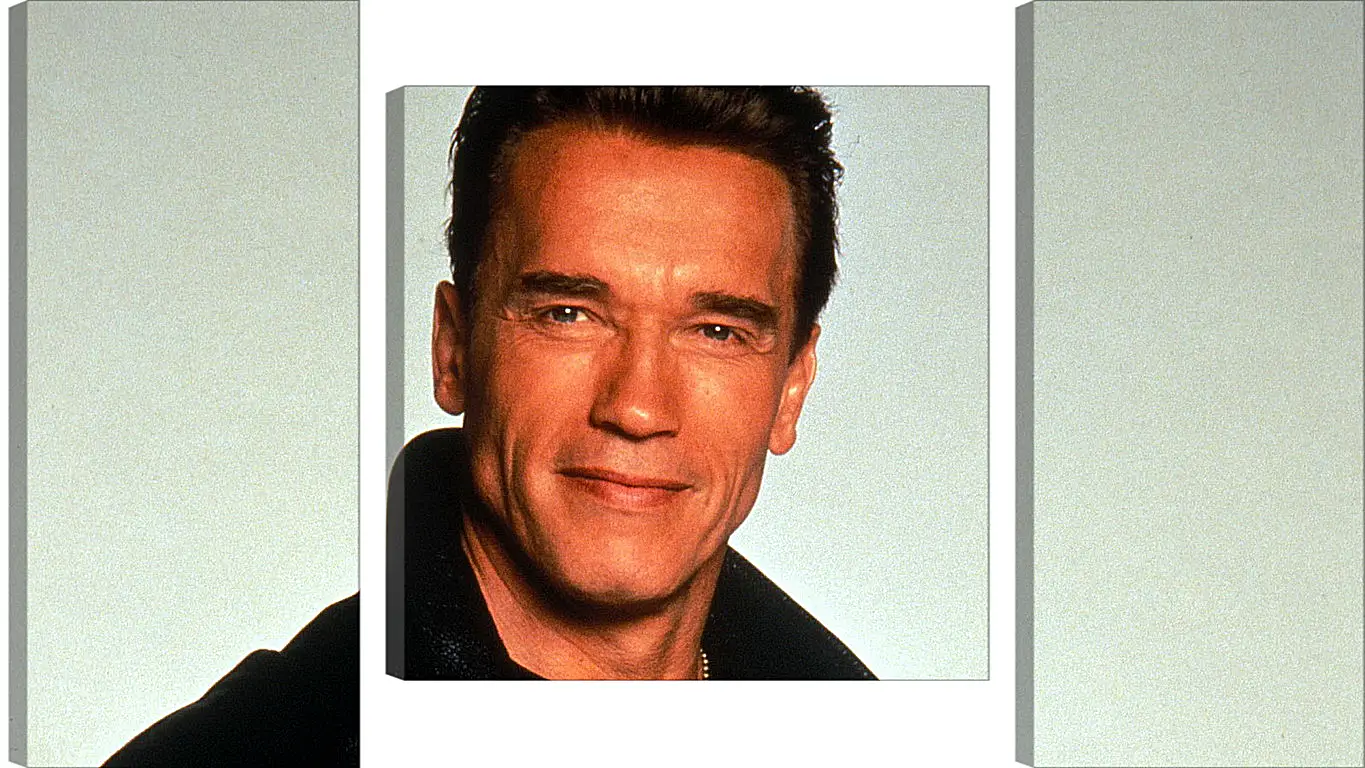 Модульная картина - Арнольд Шварценеггер (Arnold Schwarzenegger)