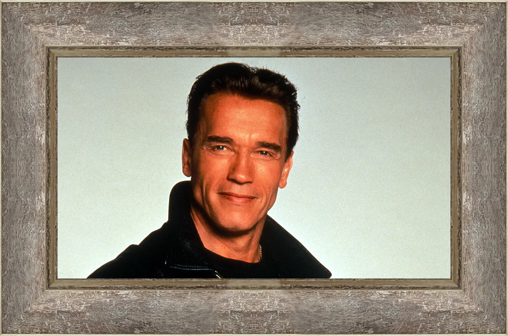 Картина в раме - Арнольд Шварценеггер (Arnold Schwarzenegger)