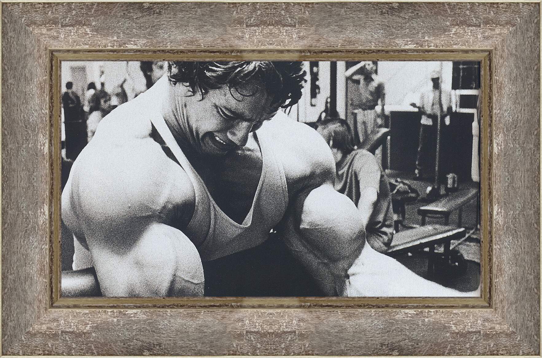 Картина в раме - Арнольд Шварценеггер (Arnold Schwarzenegger)