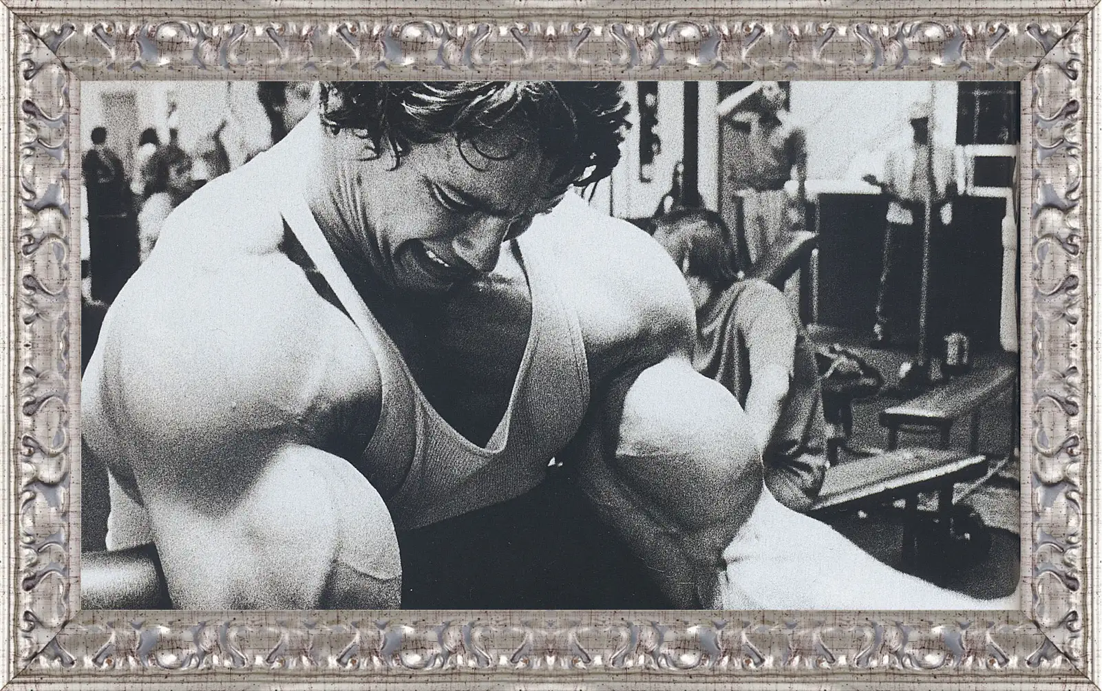 Картина в раме - Арнольд Шварценеггер (Arnold Schwarzenegger)