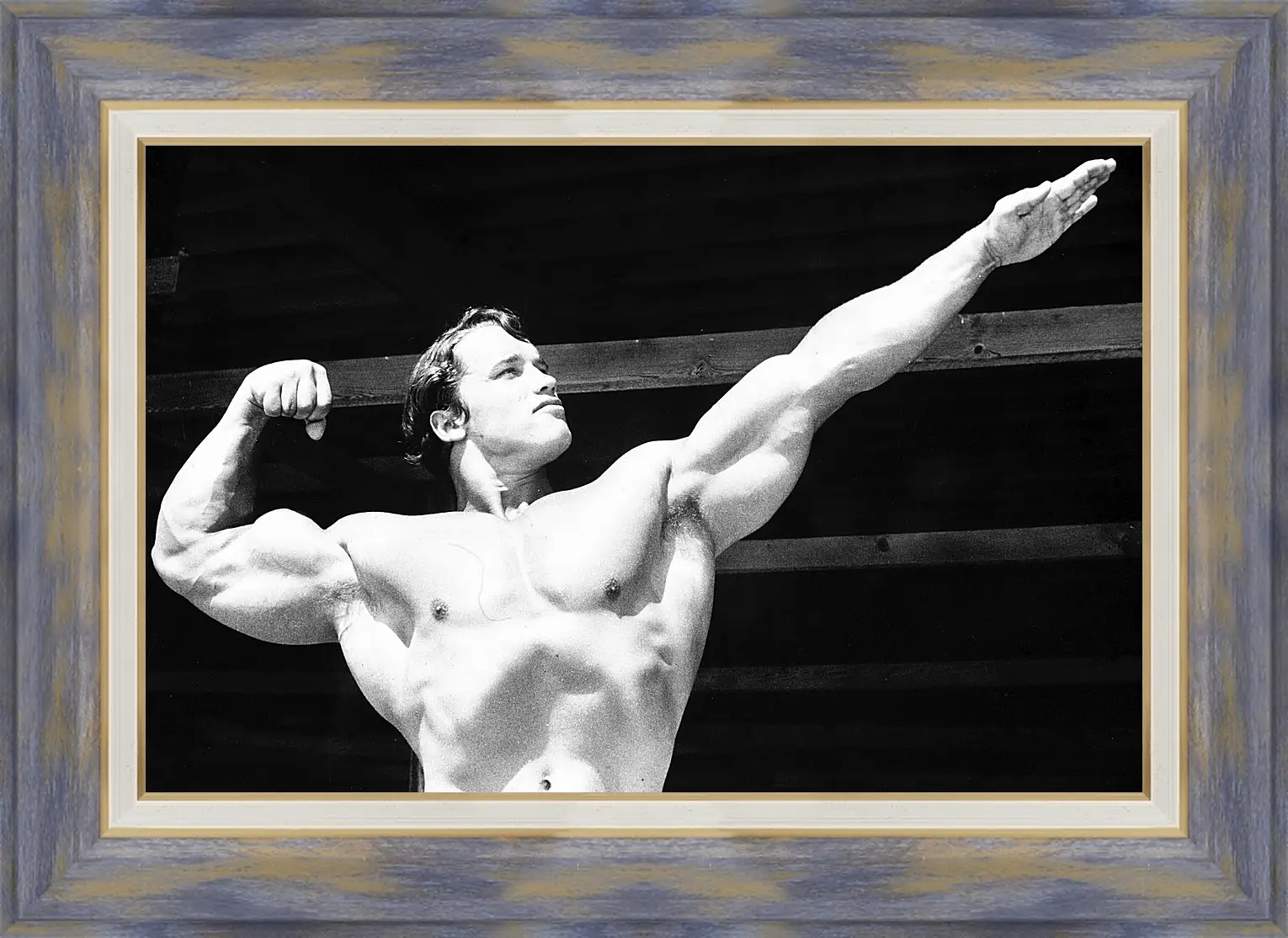 Картина в раме - Арнольд Шварценеггер (Arnold Schwarzenegger)