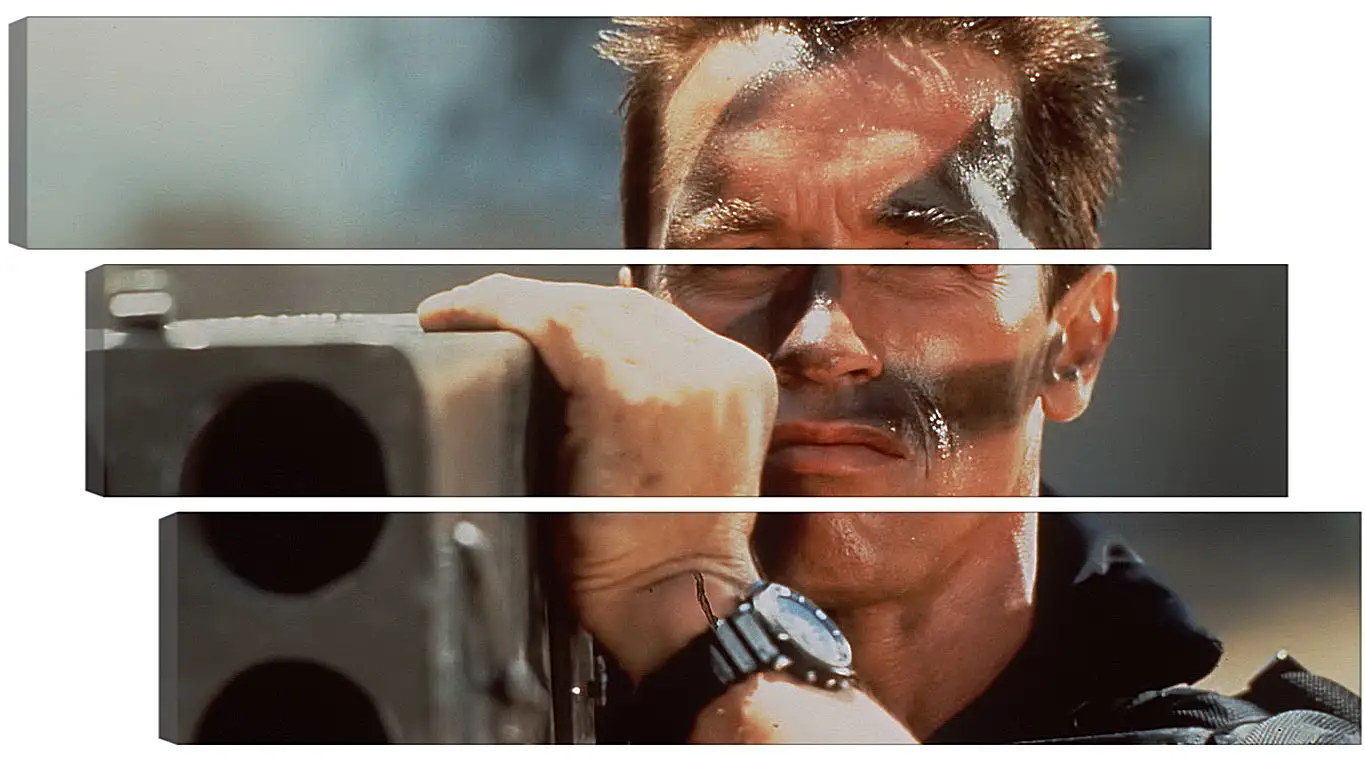 Модульная картина - Арнольд Шварценеггер (Arnold Schwarzenegger)