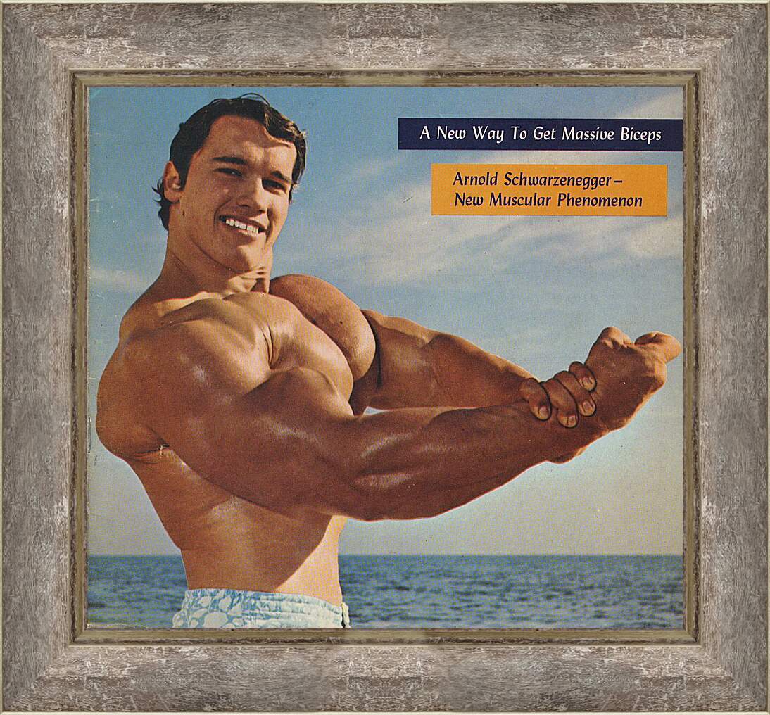 Картина в раме - Арнольд Шварценеггер (Arnold Schwarzenegger)
