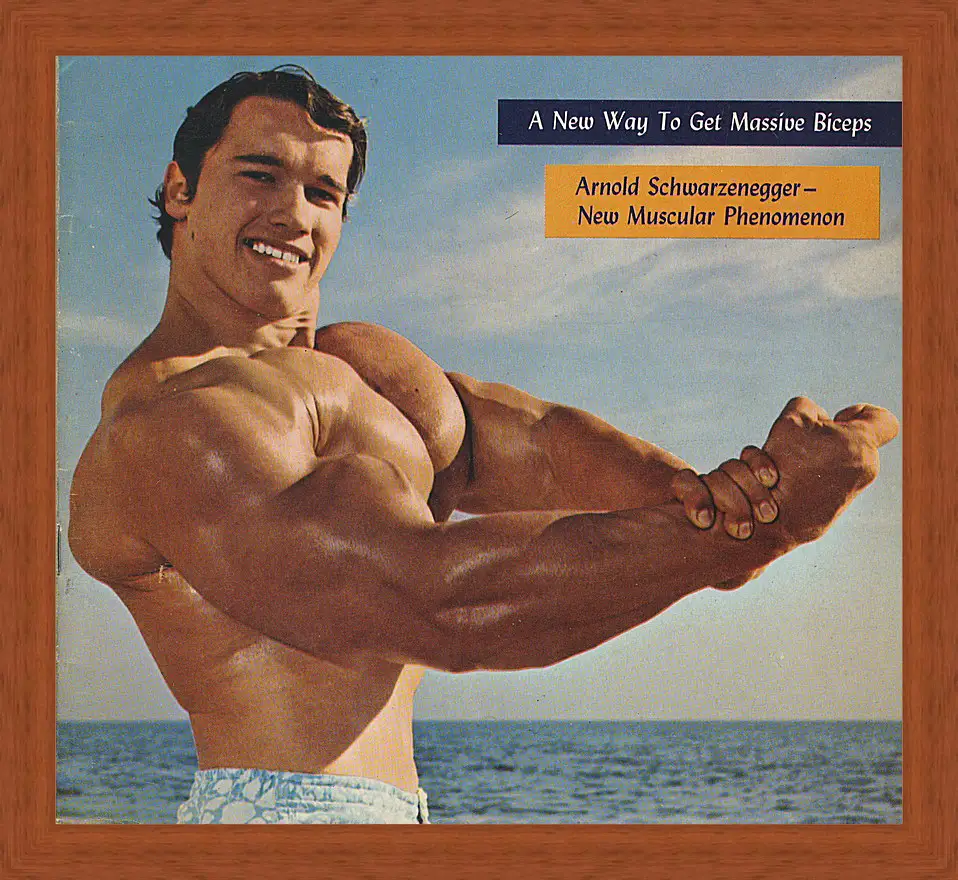 Картина в раме - Арнольд Шварценеггер (Arnold Schwarzenegger)