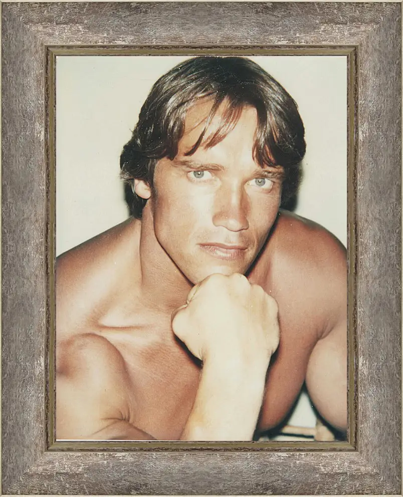Картина в раме - Арнольд Шварценеггер (Arnold Schwarzenegger)