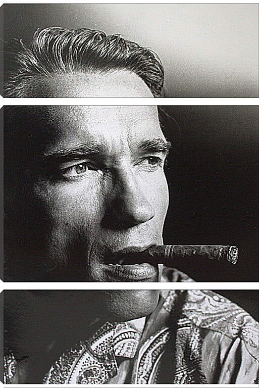 Модульная картина - Арнольд Шварценеггер (Arnold Schwarzenegger)
