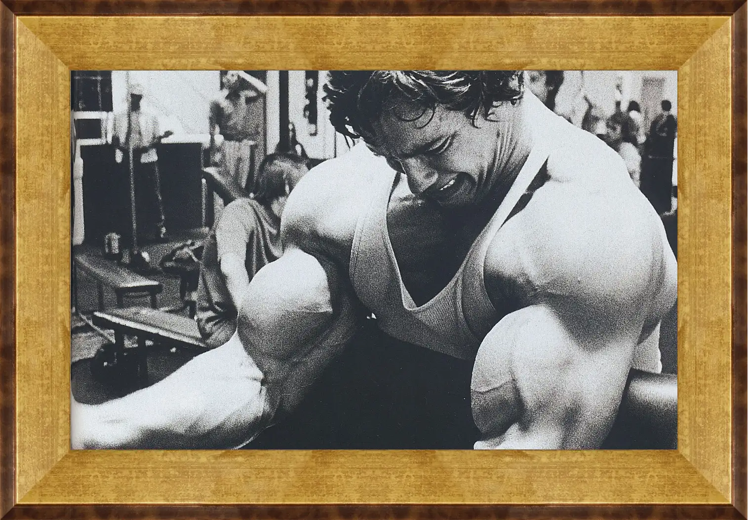 Картина в раме - Арнольд Шварценеггер (Arnold Schwarzenegger)