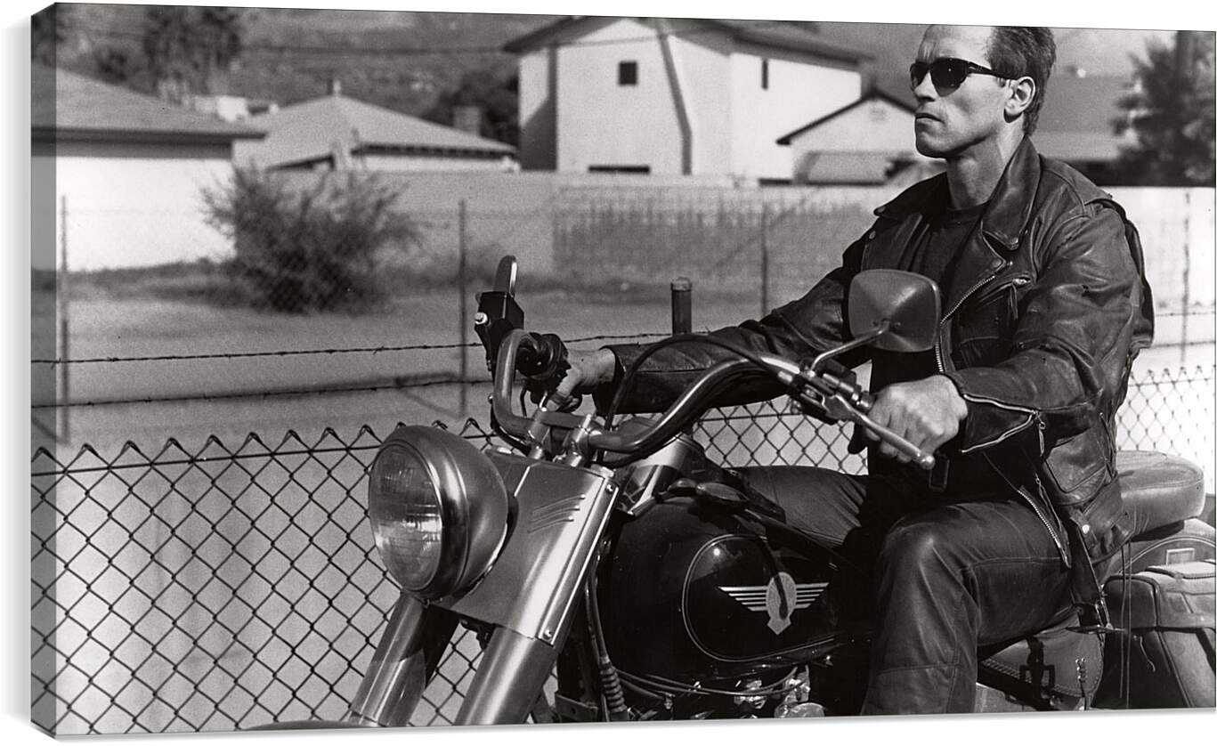 Постер и плакат - Арнольд Шварценеггер на мотоцикле. Терминатор 2