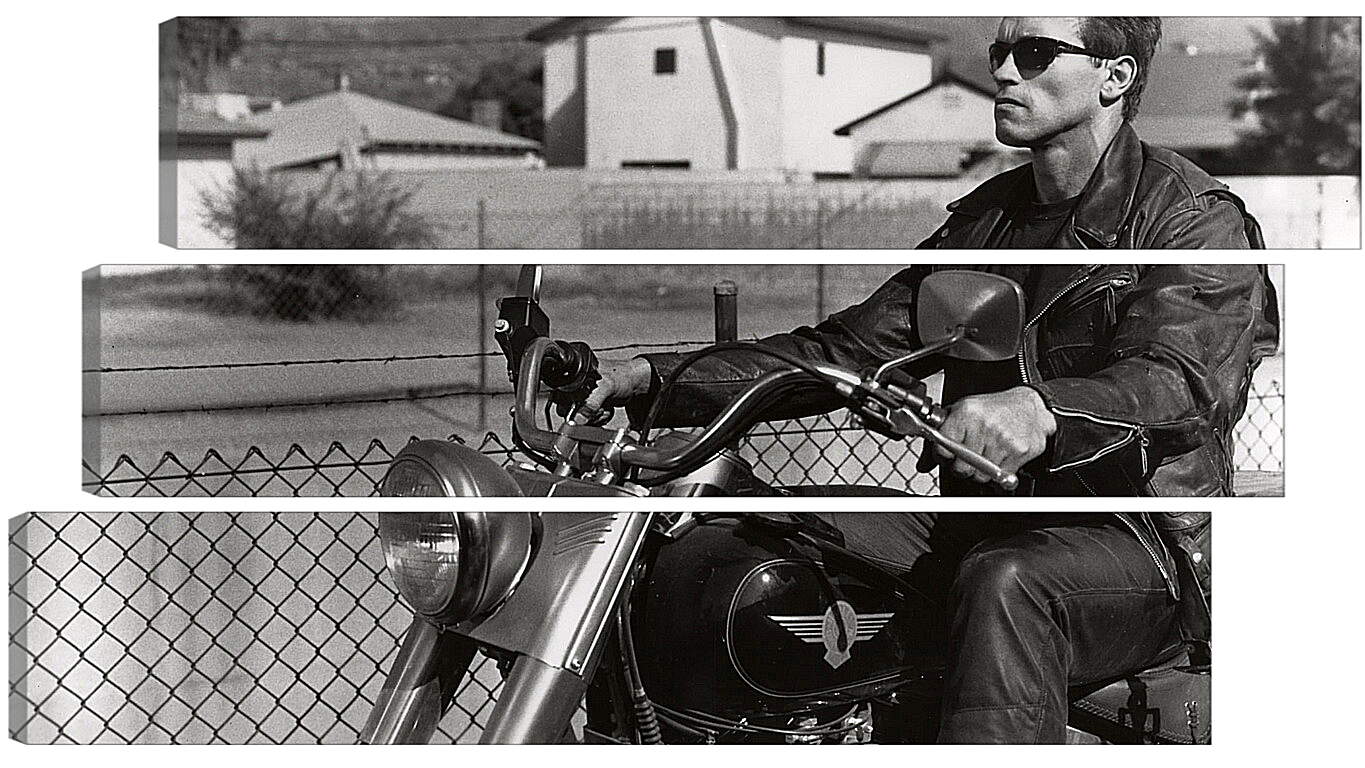 Модульная картина - Арнольд Шварценеггер на мотоцикле. Терминатор 2