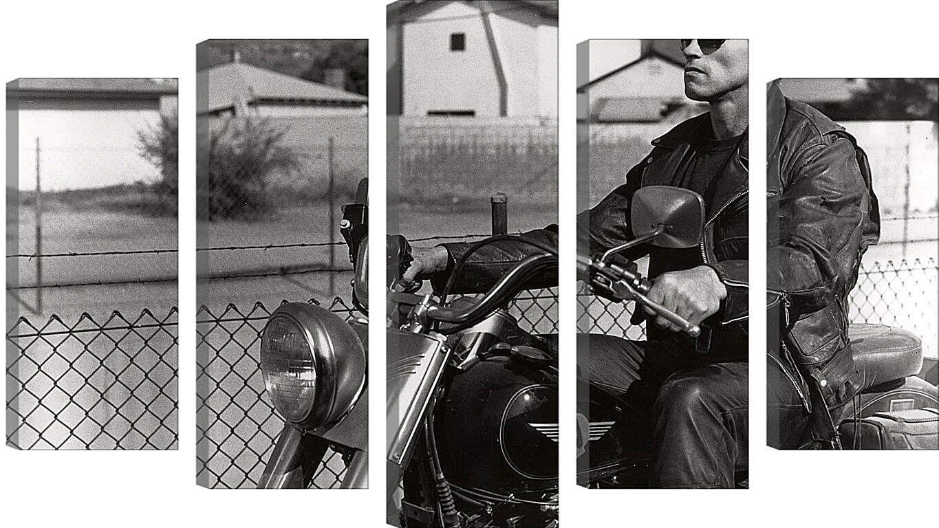 Модульная картина - Арнольд Шварценеггер на мотоцикле. Терминатор 2