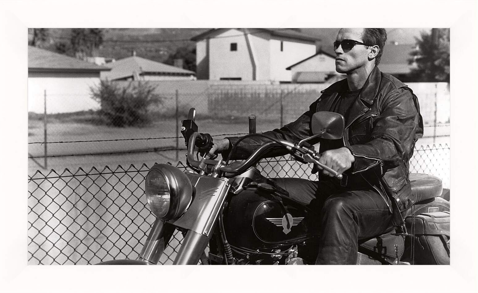 Картина в раме - Арнольд Шварценеггер на мотоцикле. Терминатор 2