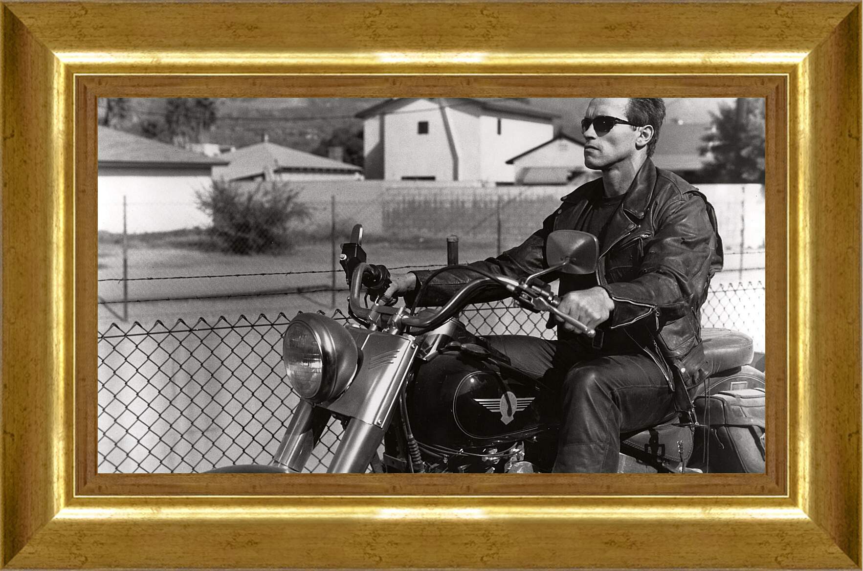 Картина в раме - Арнольд Шварценеггер на мотоцикле. Терминатор 2