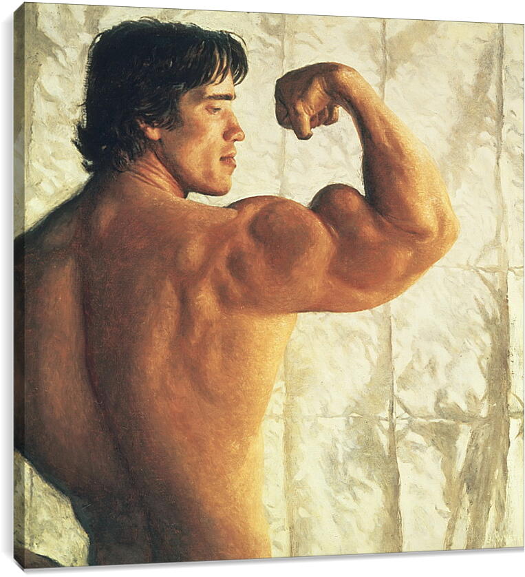 Постер и плакат - Арнольд Шварценеггер (Arnold Schwarzenegger)