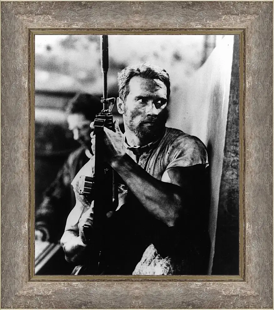 Картина в раме - Арнольд Шварценеггер (Arnold Schwarzenegger)