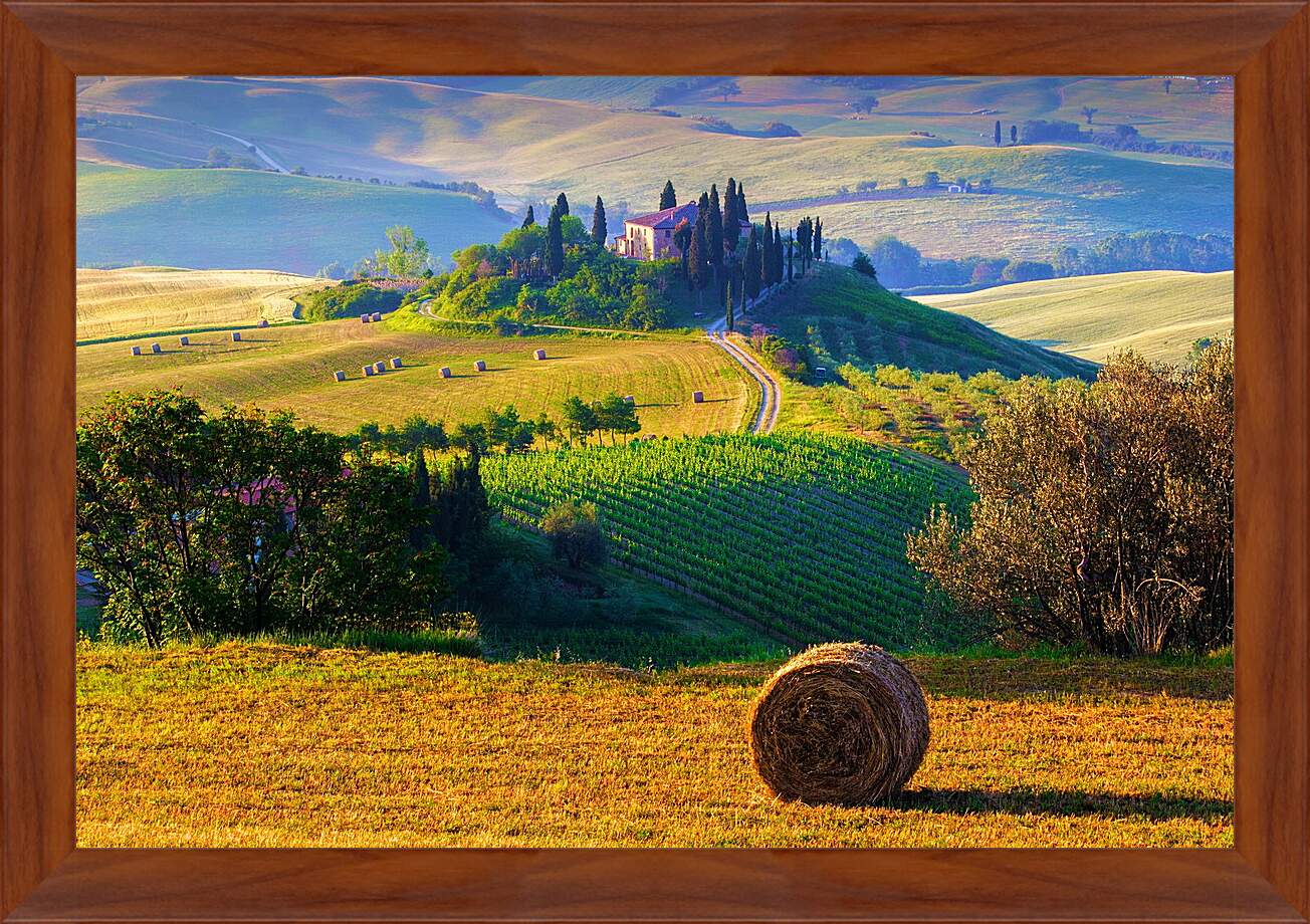 Картина в раме - Тоскана. Италия.