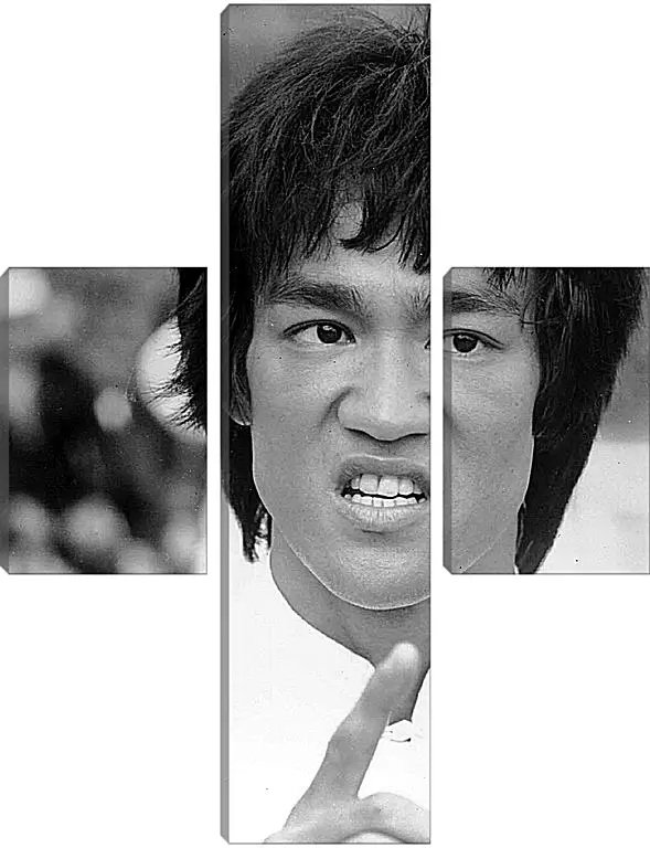 Модульная картина - Брюс Ли (Bruce Lee)