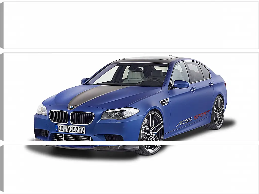 Модульная картина - BMW M5 F10