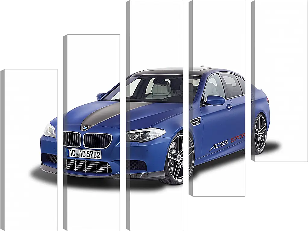 Модульная картина - BMW M5 F10