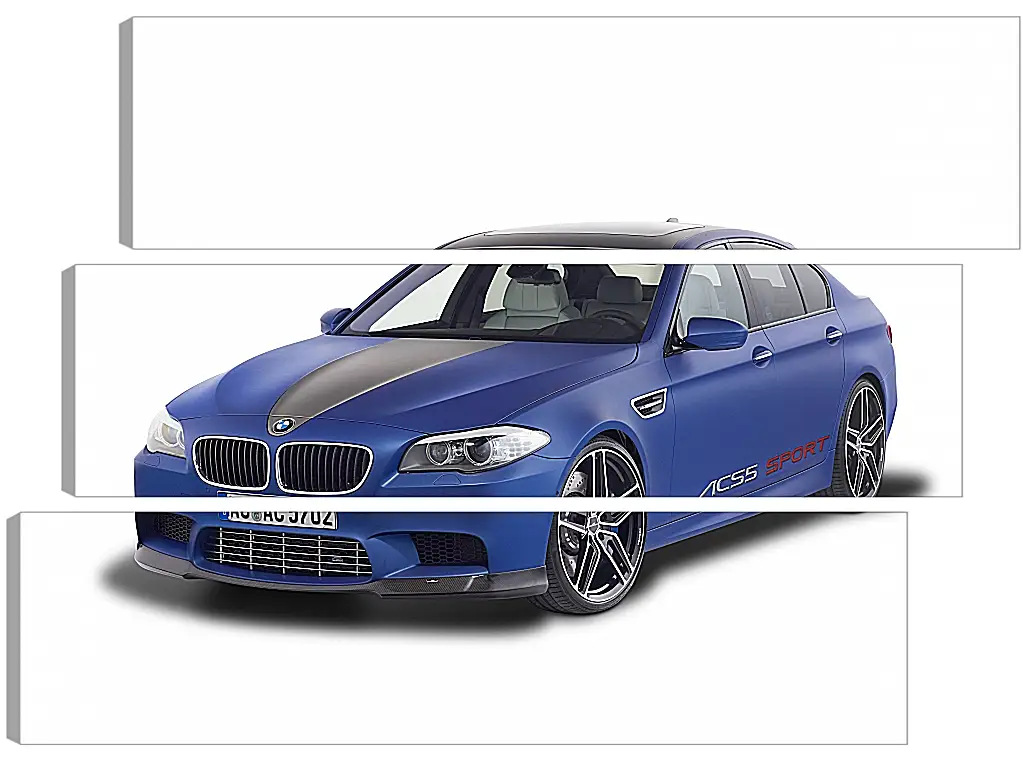 Модульная картина - BMW M5 F10