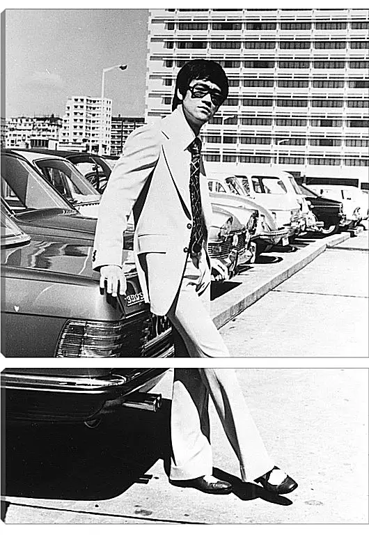 Модульная картина - Брюс Ли (Bruce Lee)