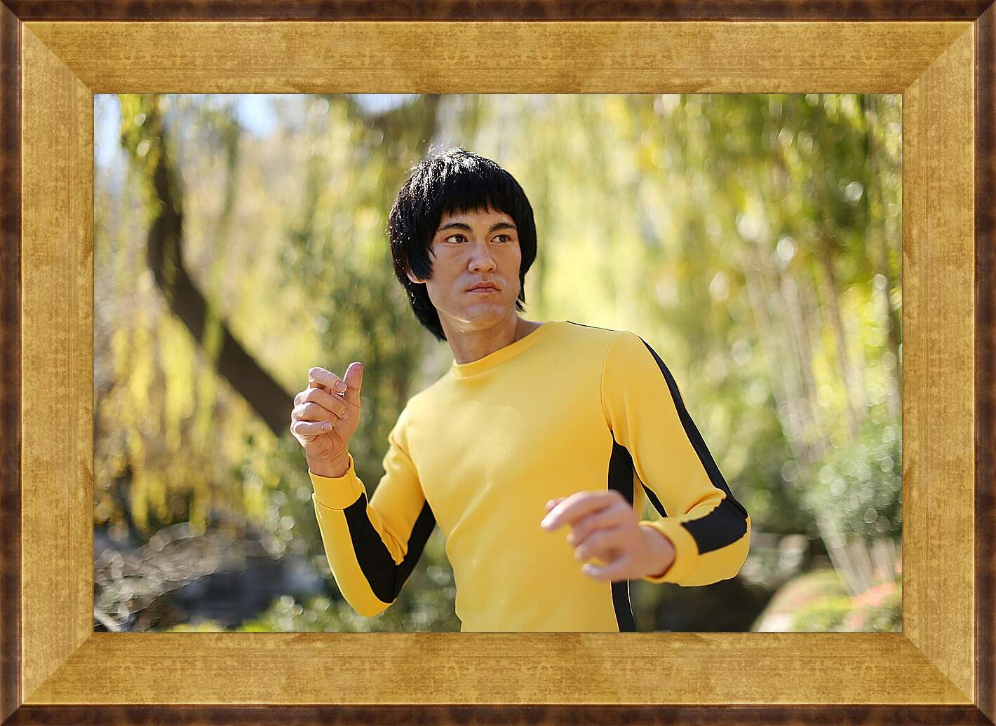 Картина в раме - Брюс Ли (Bruce Lee)