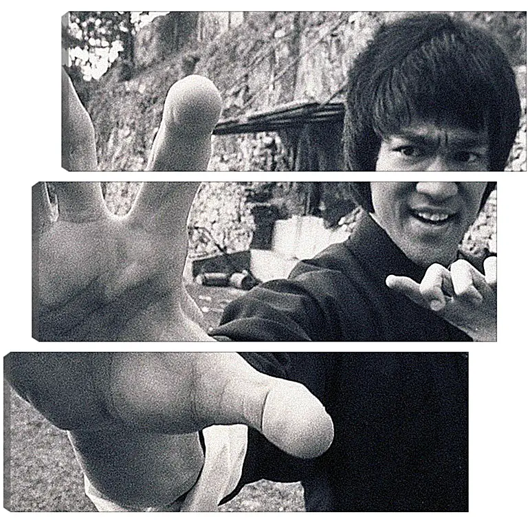 Модульная картина - Брюс Ли (Bruce Lee)