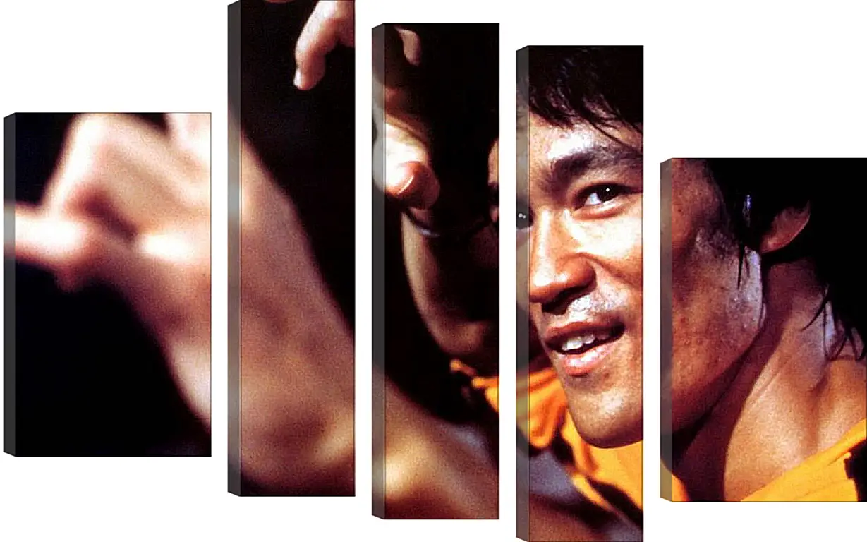 Модульная картина - Брюс Ли (Bruce Lee)