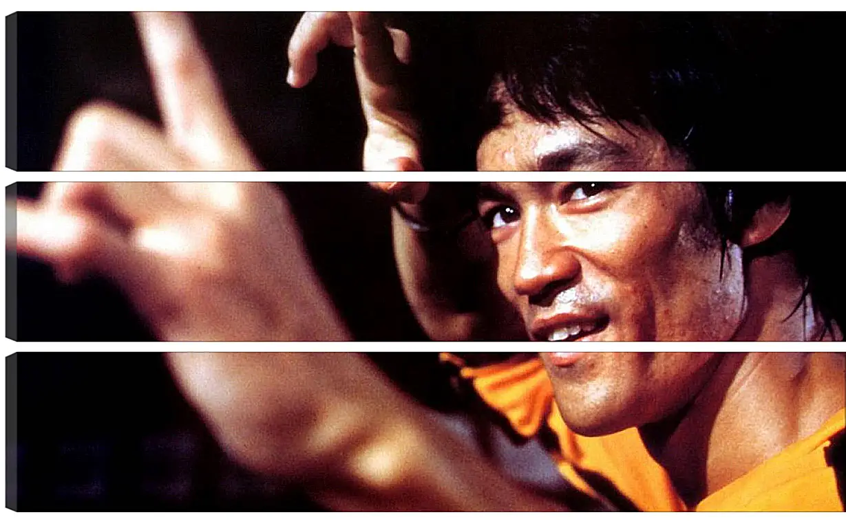 Модульная картина - Брюс Ли (Bruce Lee)